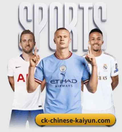 每个板块围绕一个运动项目展开(kaiyun)